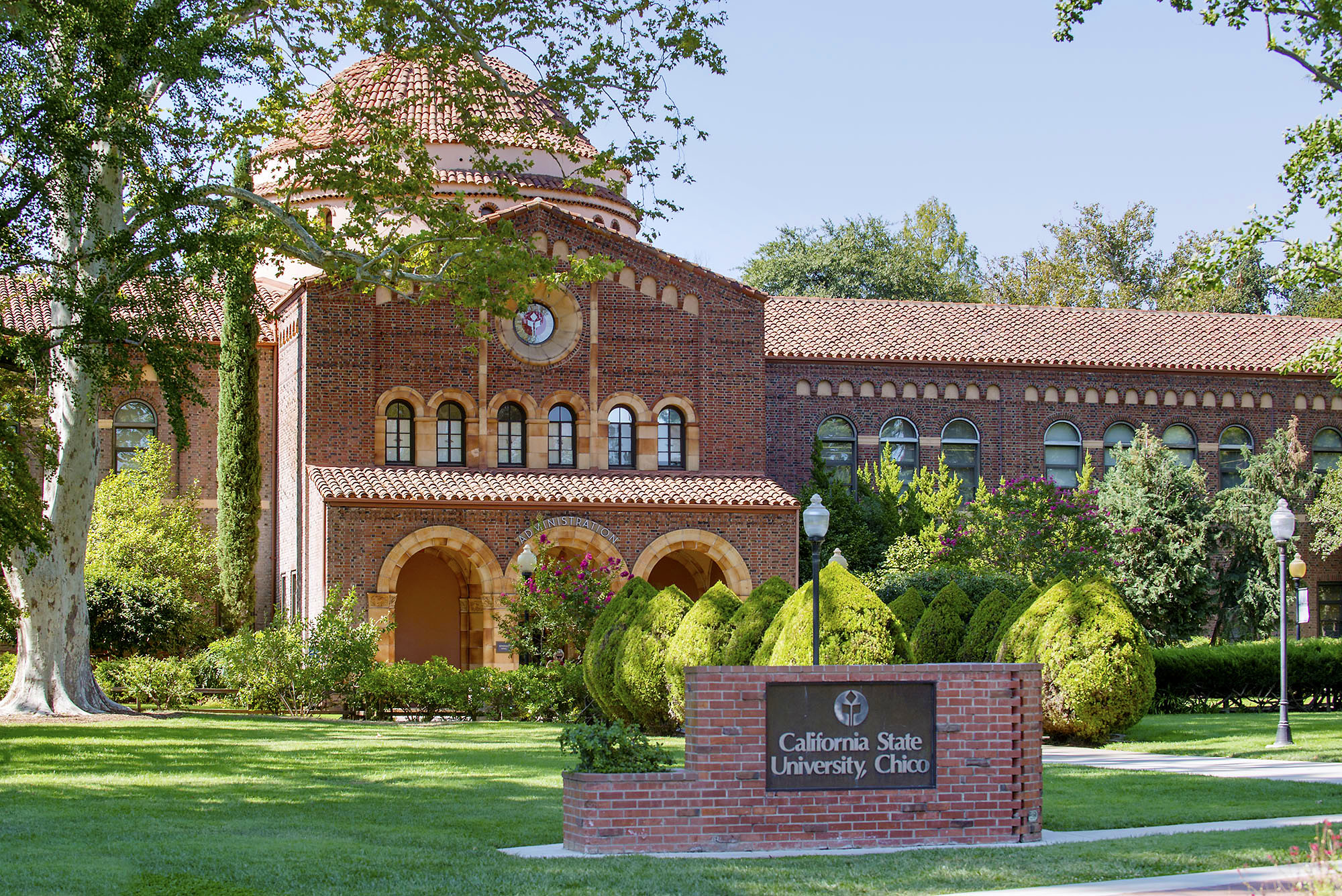 California state university